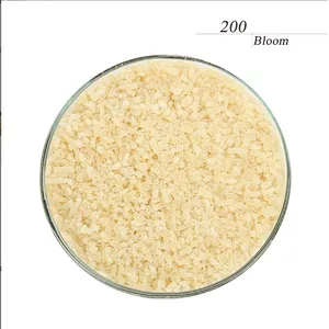 Hot Selling Food Grade CAS 9000-70-8 Gelatin Powder Halal Gelatin Bovine Gelatin